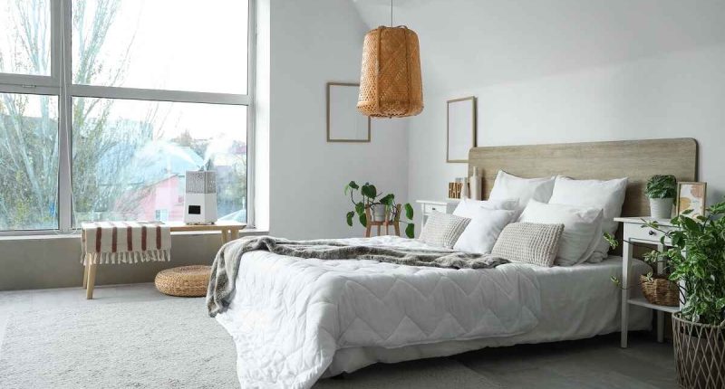 Bedroom with Large Window
